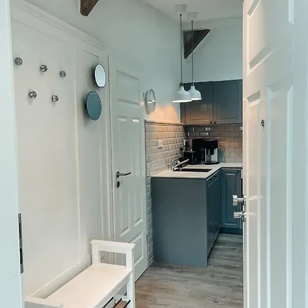 Suite Living Boardinghouse Apartments Гисен Экстерьер фото